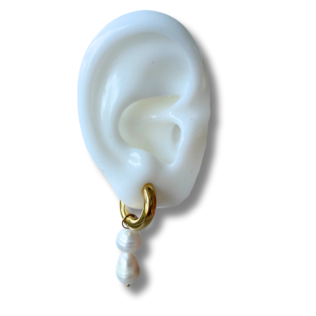 Jewel Box: The Trailblazer