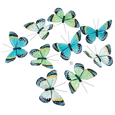 Aqua Spring