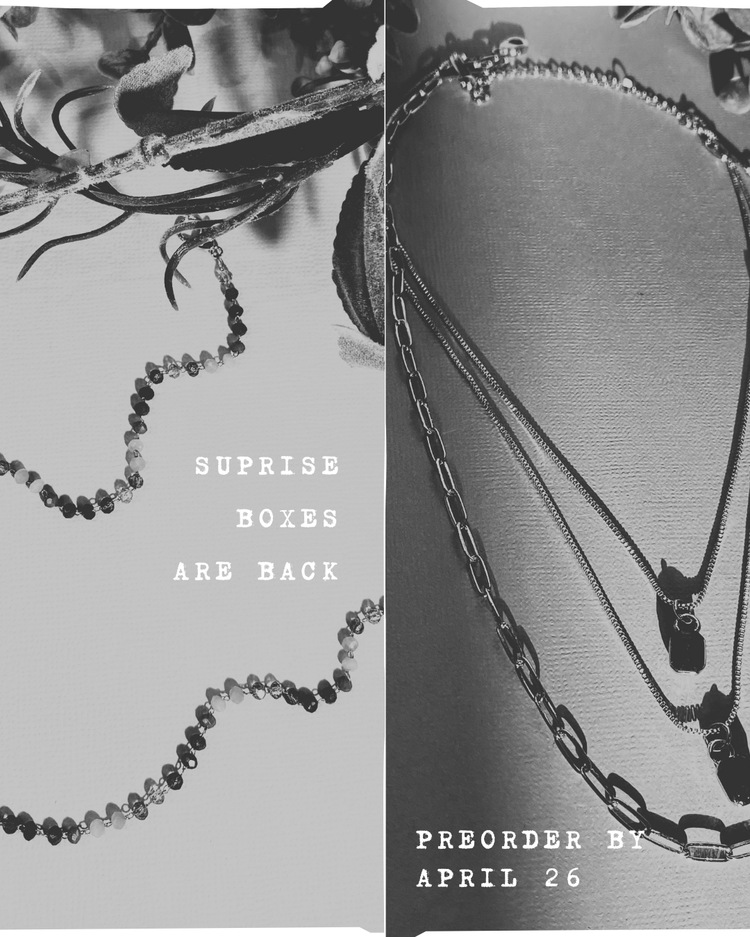 Surprise Box: Spring 2026