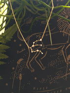 Aquarius Constellation Necklace